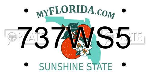 737WS5 Florida License Plate