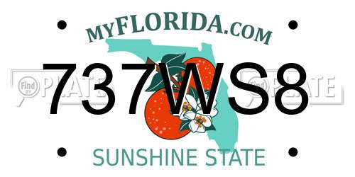 737WS8 Florida License Plate