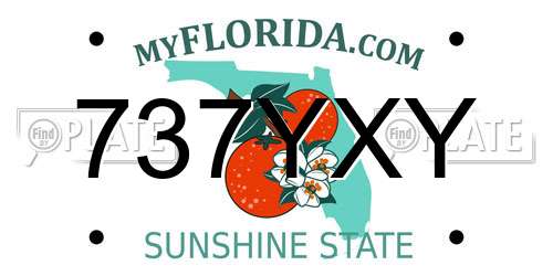 737YXY Florida License Plate