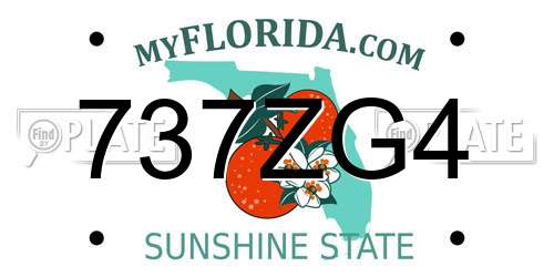 737ZG4 Florida License Plate