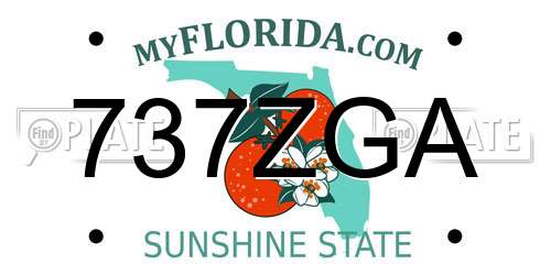 737ZGA Florida License Plate