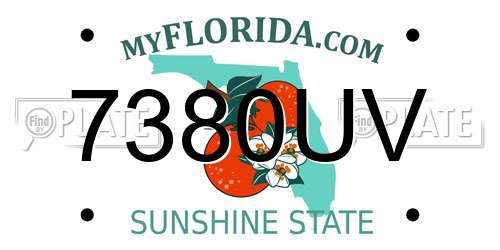 7380UV Florida License Plate