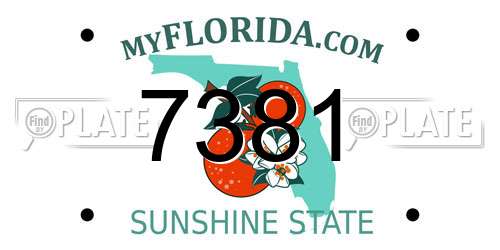7381 Florida License Plate