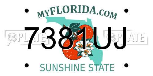 7381UJ Florida License Plate