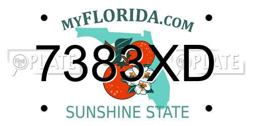 7383XD Florida License Plate