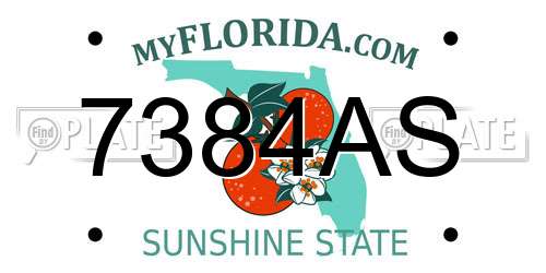 7384AS Florida License Plate