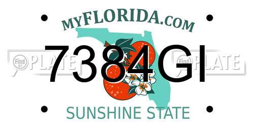 7384GI Florida License Plate