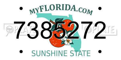 7385272 Florida License Plate