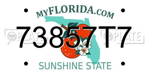 73857T7 Florida License Plate