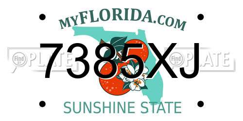 7385XJ Florida License Plate