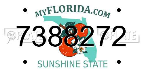 7388272 Florida License Plate