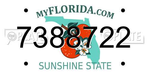 7388722 Florida License Plate