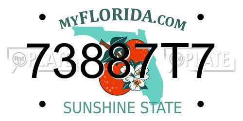 73887T7 Florida License Plate