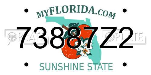 73887Z2 Florida License Plate