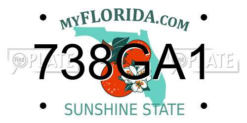 738GA1 Florida License Plate