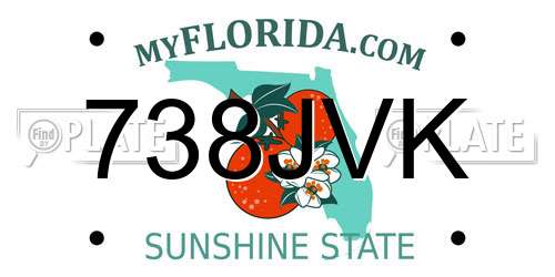 738JVK Florida License Plate
