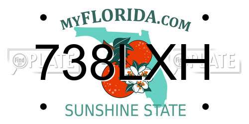 738LXH Florida License Plate
