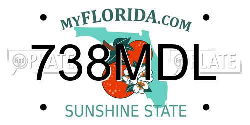 738MDL Florida License Plate