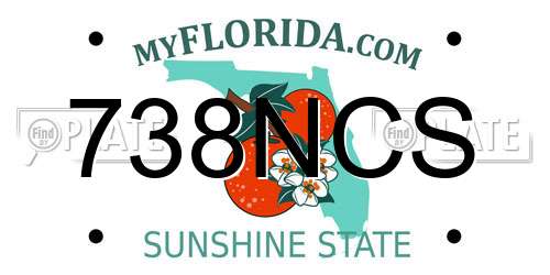 738NCS Florida License Plate