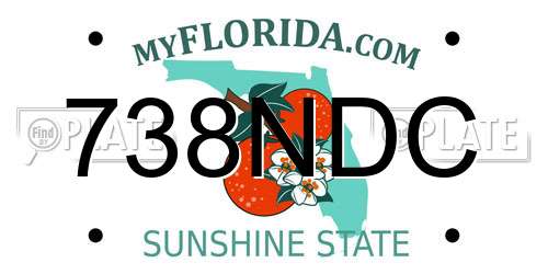 738NDC Florida License Plate