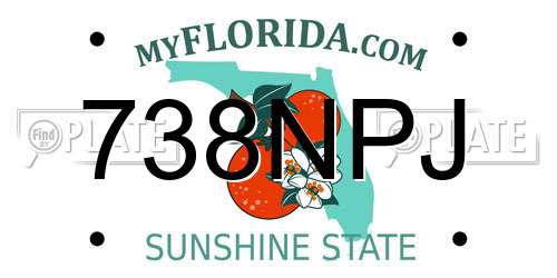 738NPJ Florida License Plate