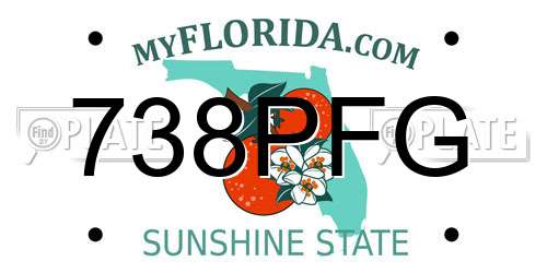 738PFG Florida License Plate