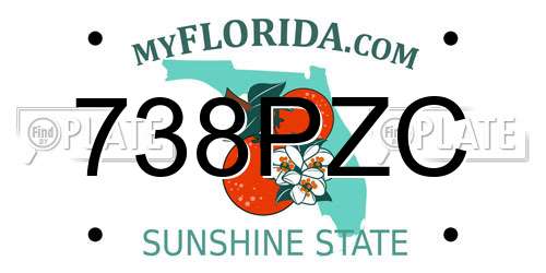 738PZC Florida License Plate