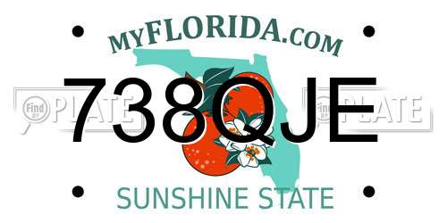 738QJE Florida License Plate