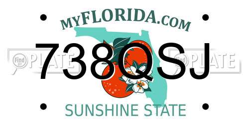 738QSJ Florida License Plate