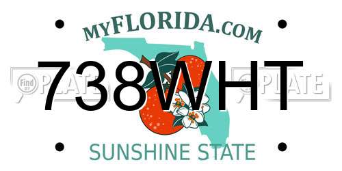 738WHT Florida License Plate