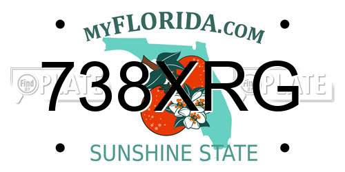 738XRG Florida License Plate