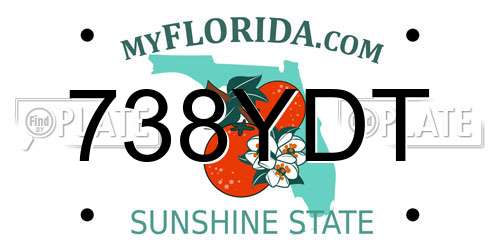 738YDT Florida License Plate