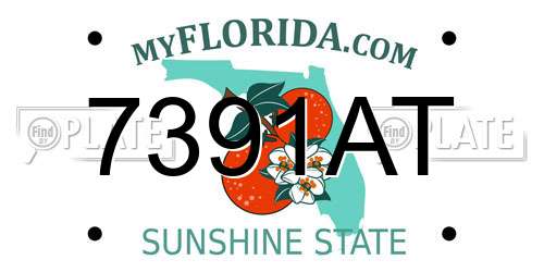 7391AT Florida License Plate