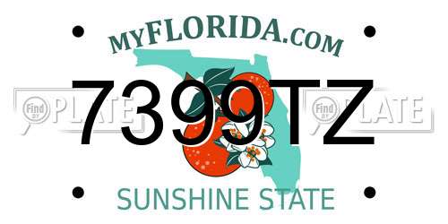7399TZ Florida License Plate