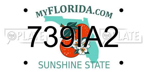 739IA2 Florida License Plate