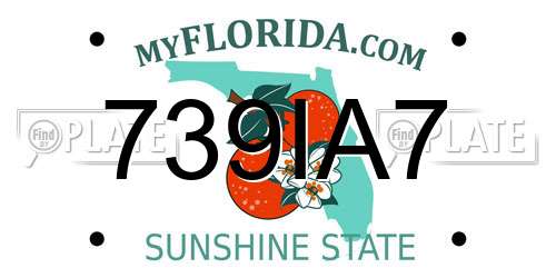 739IA7 Florida License Plate