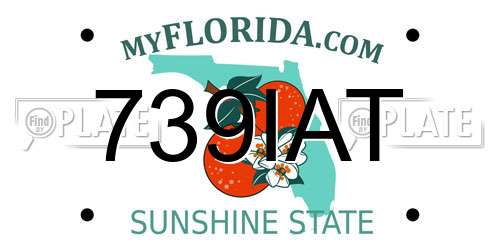 739IAT Florida License Plate