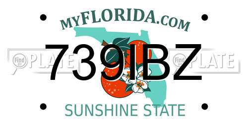 739IBZ Florida License Plate