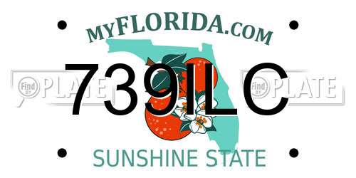 739ILC Florida License Plate
