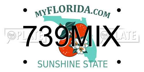 739MIX Florida License Plate
