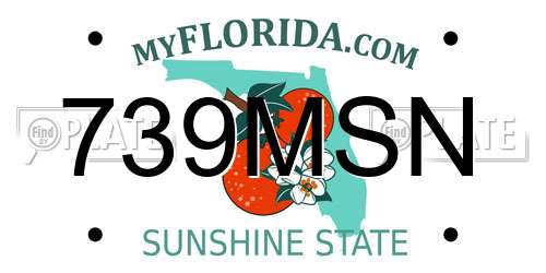 739MSN Florida License Plate