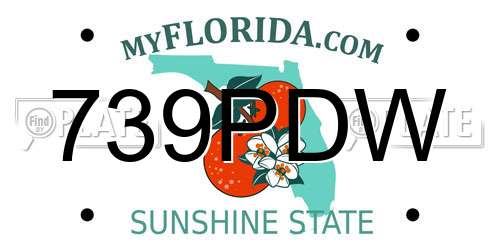 739PDW Florida License Plate