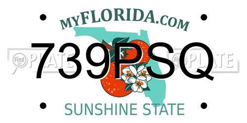 739PSQ Florida License Plate
