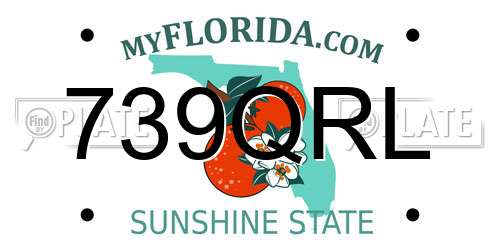 739QRL Florida License Plate