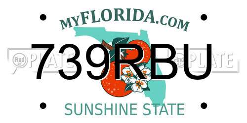 739RBU Florida License Plate