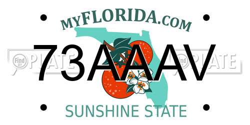 73AAAV Florida License Plate