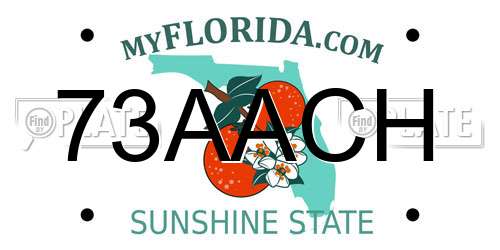 73AACH Florida License Plate