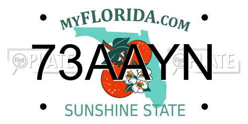 73AAYN Florida License Plate