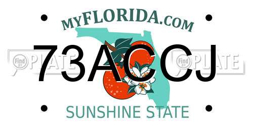 73ACCJ Florida License Plate