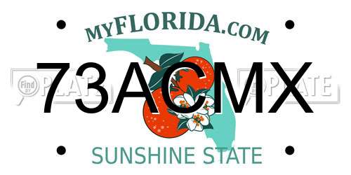73ACMX Florida License Plate